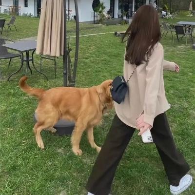 蓝调的诞生