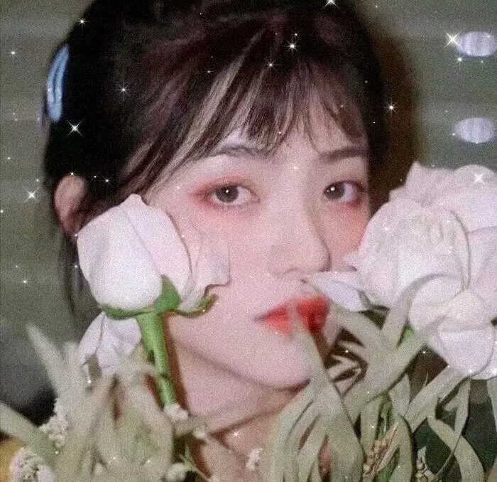 与君渡长欢